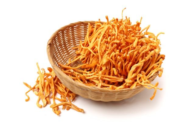 Džiovinti Cordyceps grybai